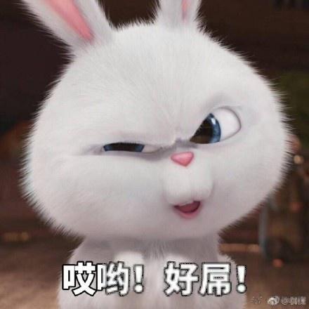 下载一波超可爱的小表情大全女生分享兔子表情动漫图片动态包图片
