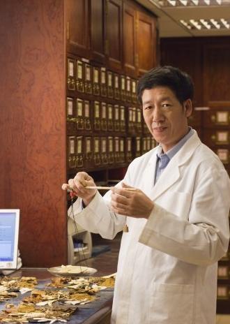 【4味中药用时需谨慎】1、马钱子毒性较大-今男孩诗歌小白头翁冰花图片