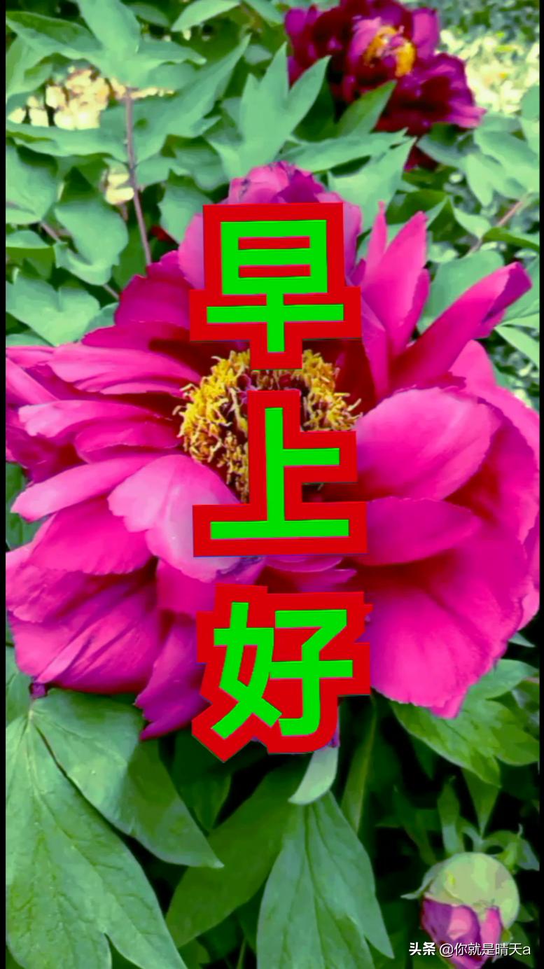 早上好!祝愿大家开心快乐,凡事顺利.