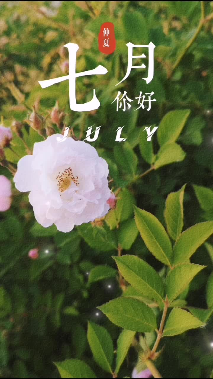 愿七月的风八月的雨,带来的都是好消息#七月