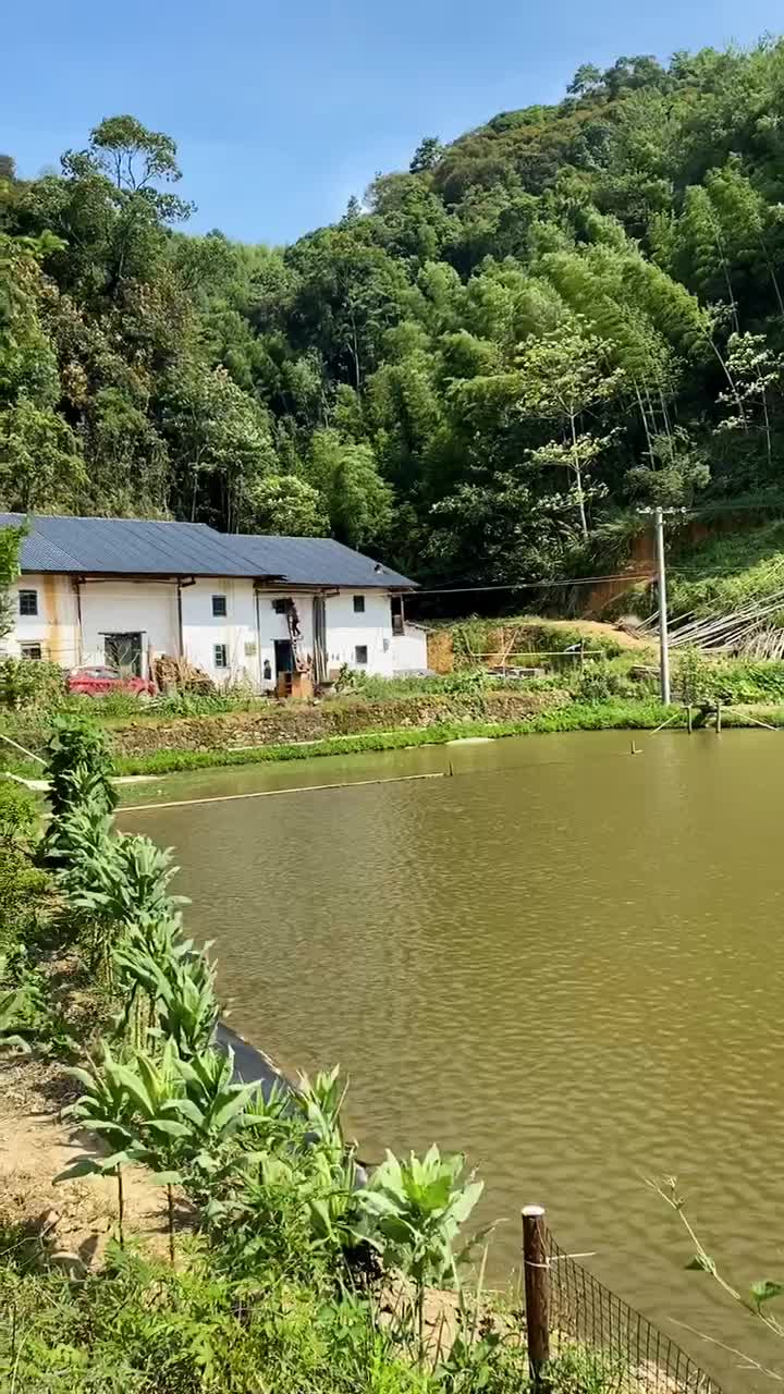 一条路,三户人家,后有青山,前有水…这才是真正的依山傍水,好地方.