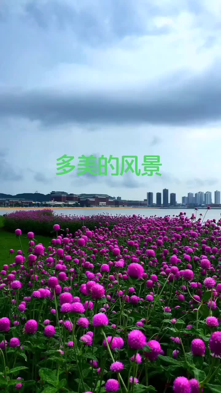 风景无限好#自然风光 #抖音小助手 #花海 @抖音短视频 @我要上热门