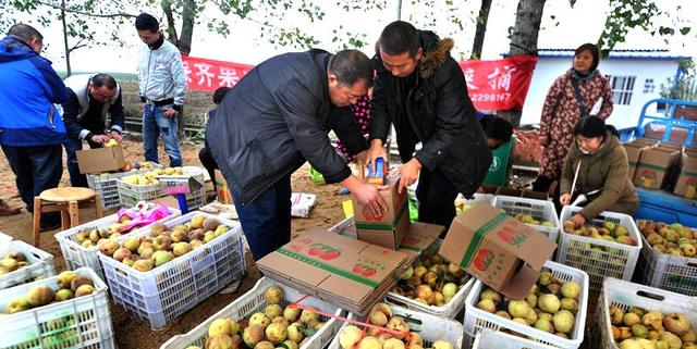 枣阳哪些地方卖家具