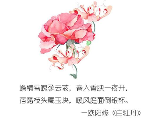 有哪些描写北京胡同的诗词