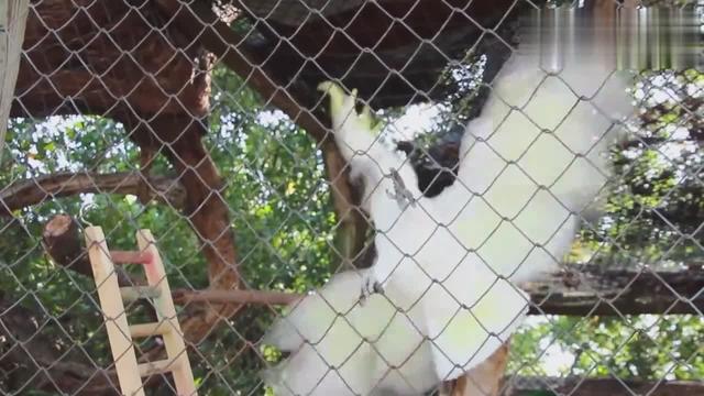 依偎鸟家具旗舰店