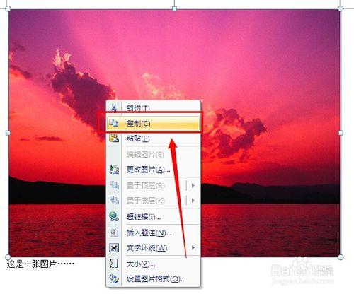 word怎么把图片复制出来