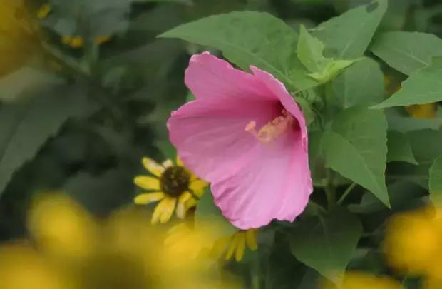 正能量的十字句子