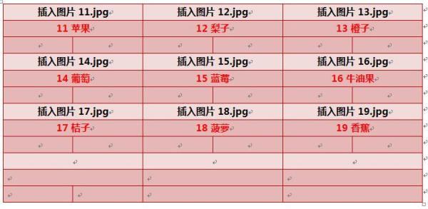 照片如何放到word表格