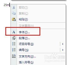 怎么在word里打平方米