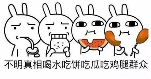 ppt.dl文件用什么软件打开