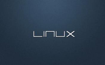 linux下安装光盘里的软件
