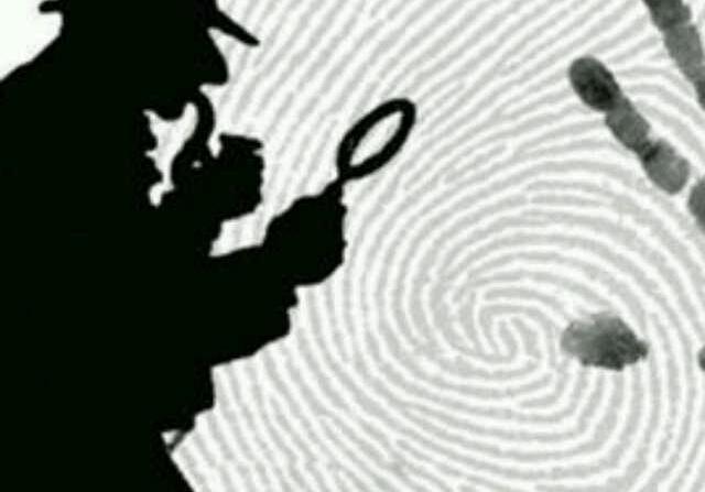 逻辑推理题 软件