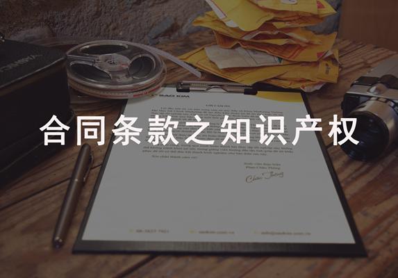 软件知识产权条款