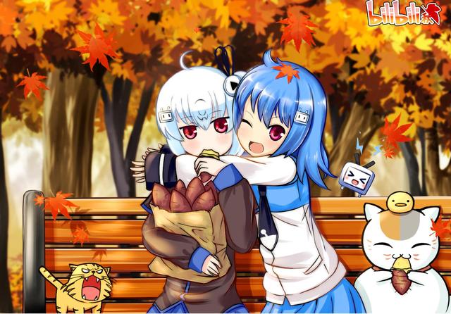 如何管理safari插件下载软件