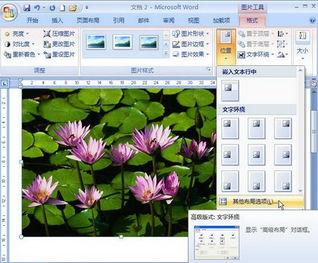 word2007如何锁定图片