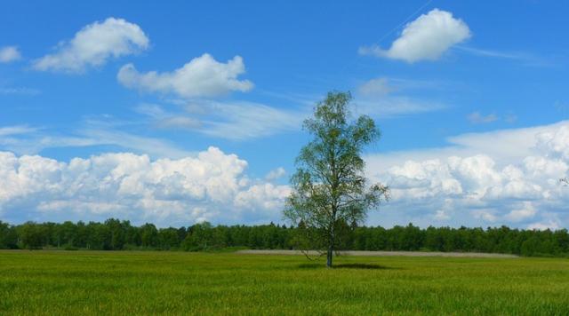 个人 技能树 软件