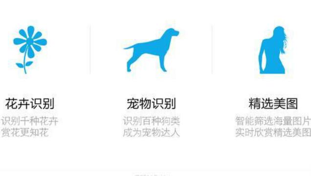 查找相似句子的软件