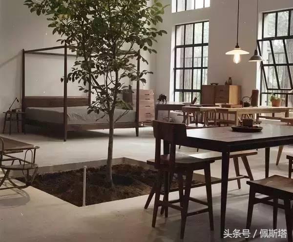 关于中式和北欧家具不同之处论文