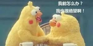 word2016标准版密钥