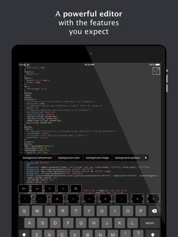 ipad 程序员软件