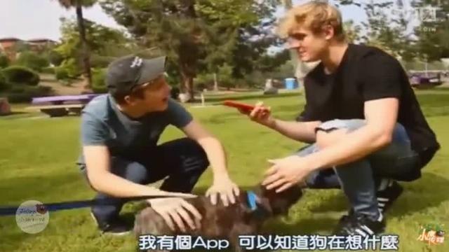 artcam2009软件狗