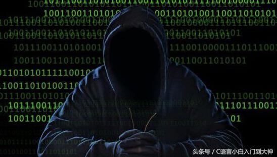 软件架构师 编程语言