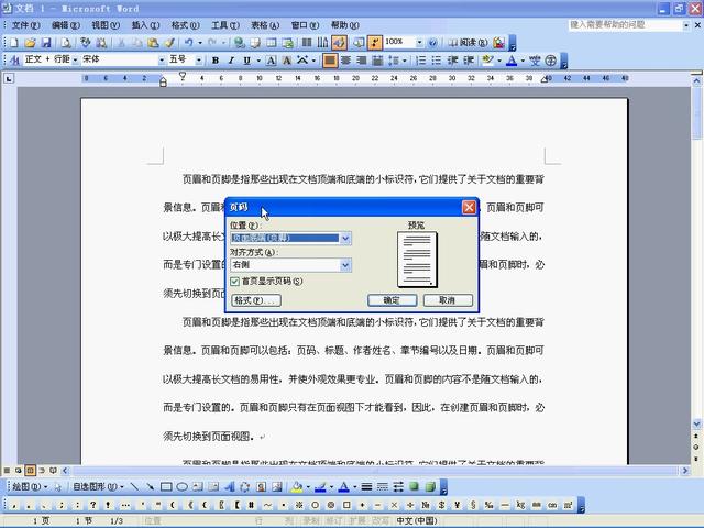 word2003设置不同页码