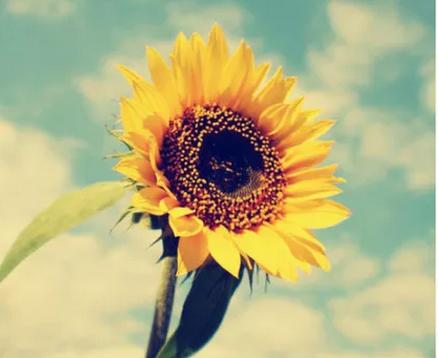 word文档如何编制目录