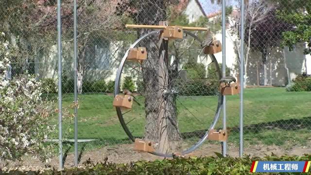 识别鸟儿软件在线使用