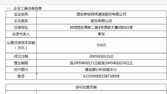 软件企业的盈利模式
