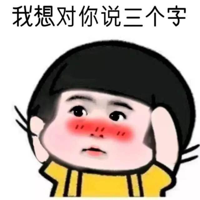 电脑分配宽带软件