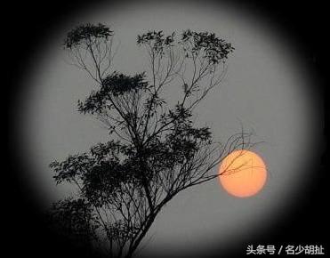 ¹ҵƻʫ