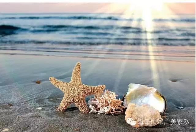 米多拉家具图片