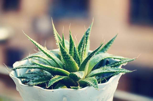 富怡美家具怎么样