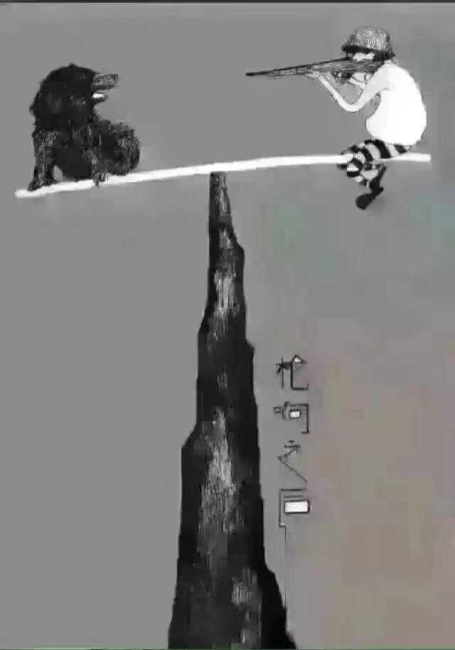 枪响之后谁是赢家名言