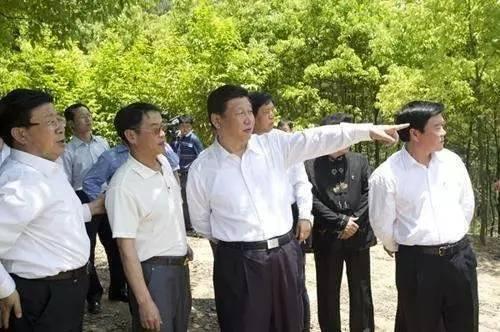 buzzword 有些什么