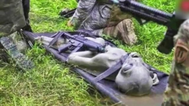 外星人家具图片