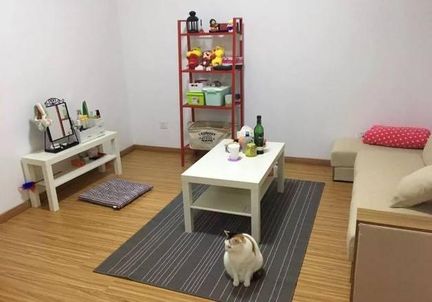 租房给别人_家具怎么买