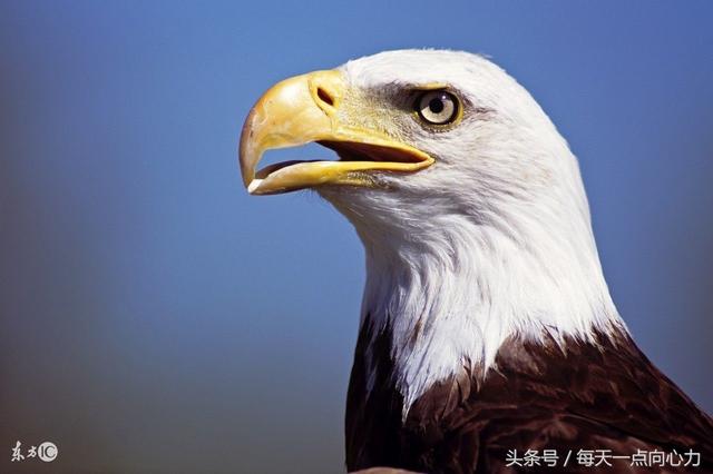 脚踏实地的英语名言