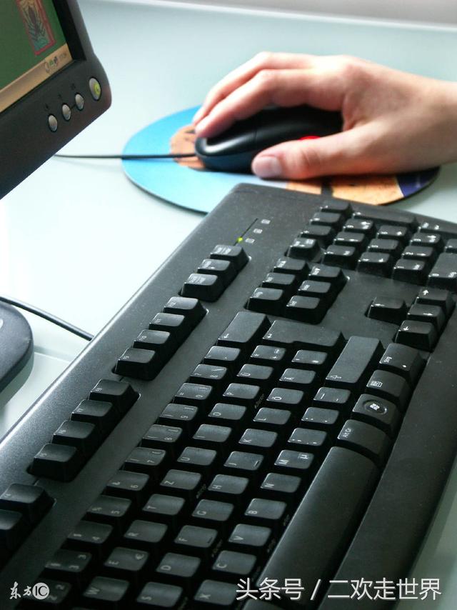 五笔 编码查询软件