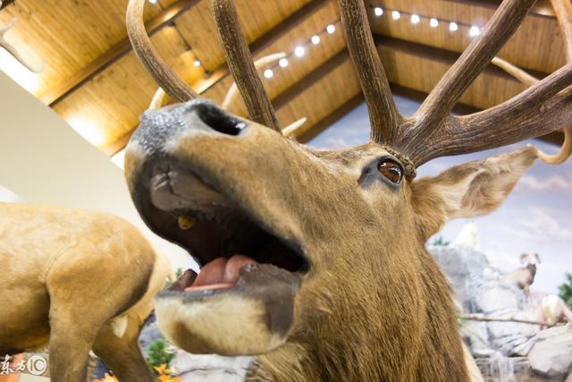 拉拢人心的句子