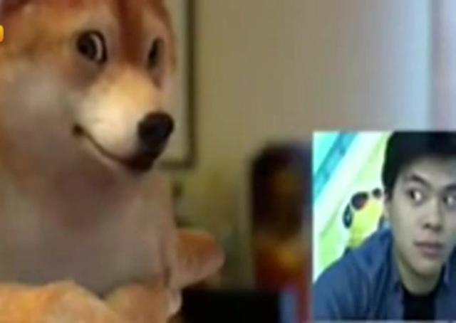 狗模仿人表情软件