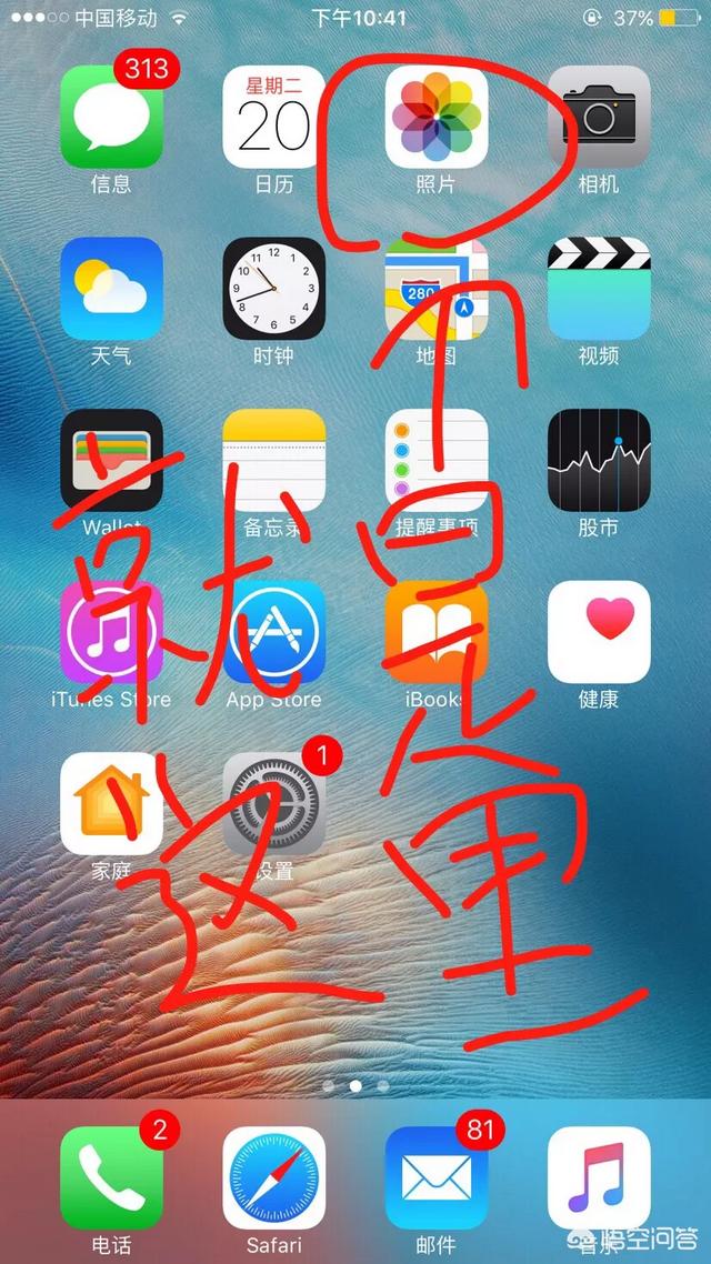 手机无法上网页视频怎么下载视频软件