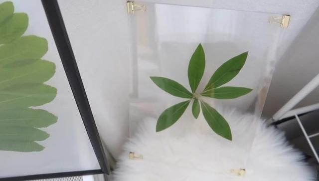 透明相框是什么软件