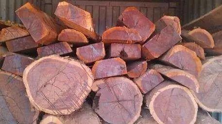 中山南美酸枝家具