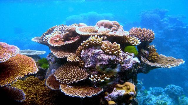 崇州家具厂分布在哪里