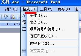 word 找不到目录项