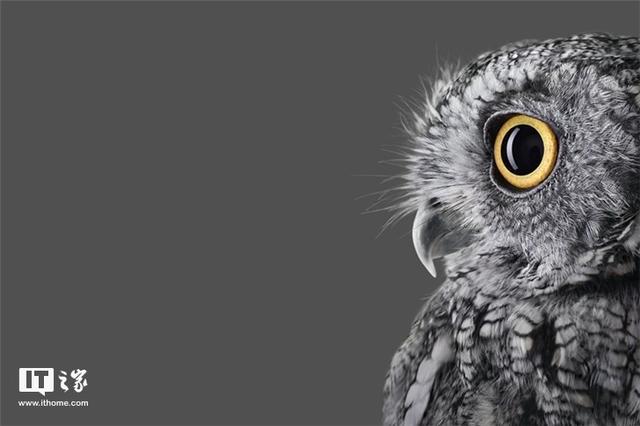 6s打开软件后字体模糊咋办