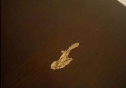 家具修色笔没水了