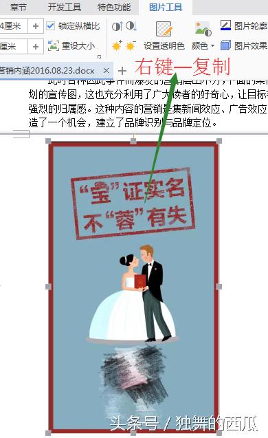 word复制整页图片